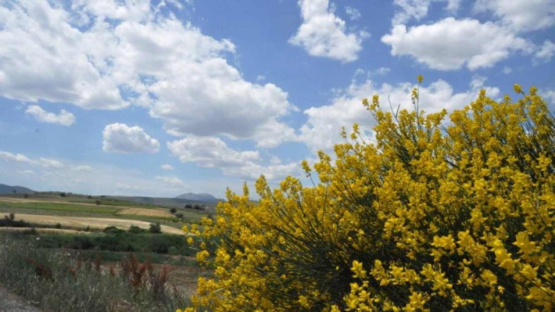 Καιρός: Αίσθηση άνοιξης σε όλη την χώρα - Σε αυτές τις περιοχές θα είναι ισχυροί οι άνεμοι