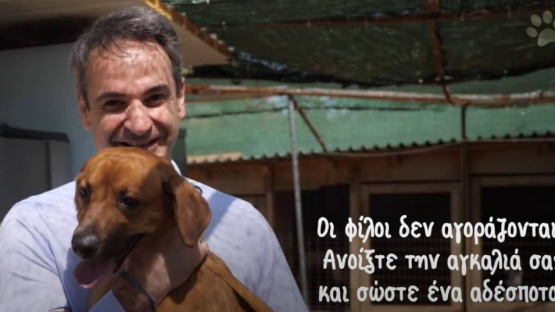 Μητσοτάκης: Επίσκεψη σε καταφύγιο εγκαταλελειμμένων ζώων με αφορμή την Παγκόσμια Ημέρα Αδέσποτων!