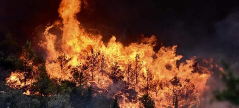 Φωτιά σε δασική έκταση στο Αρχοντικό Λακωνίας