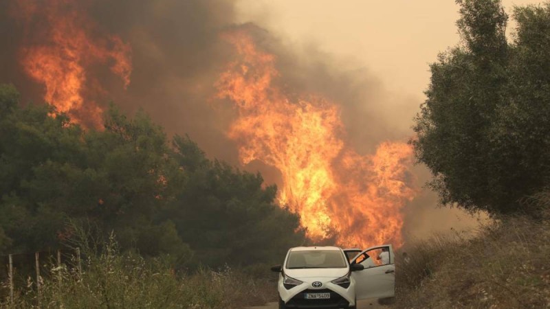 Φωτιά στον Σχίνο Κορινθίας: Σε κατάσταση έκτακτης ανάγκης το Αλεποχώρι - Πώς θα αποζημιωθούν οι πληγέντες