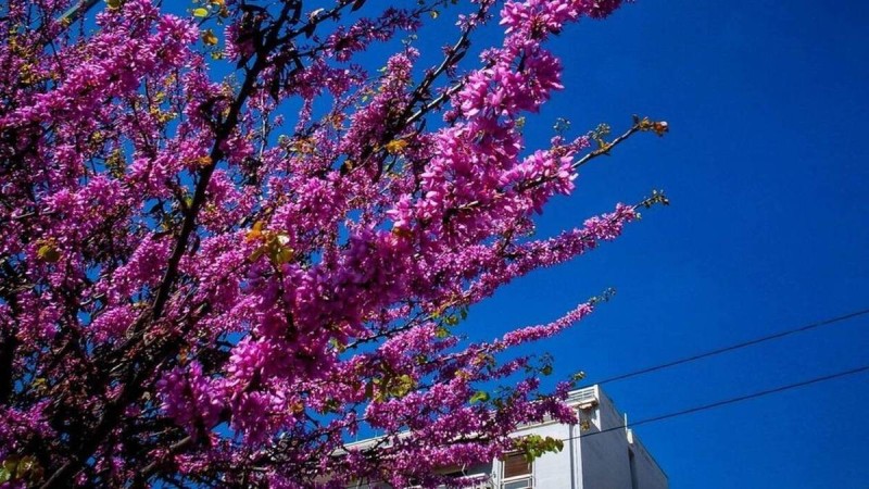 Καιρός Πάσχα: Καύσωνας και αφρικανική σκόνη