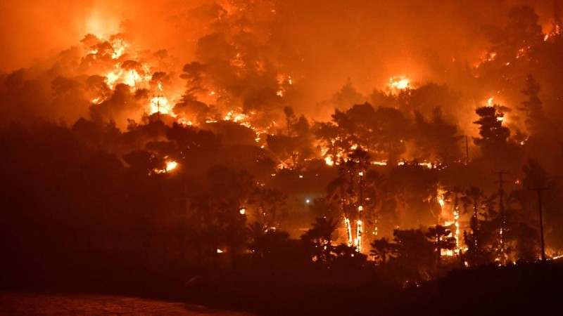 Φωτιά στον Σχίνο Κορινθίας: Σε εξέλιξη η καταστροφή - Προσπάθεια να οριοθετηθεί