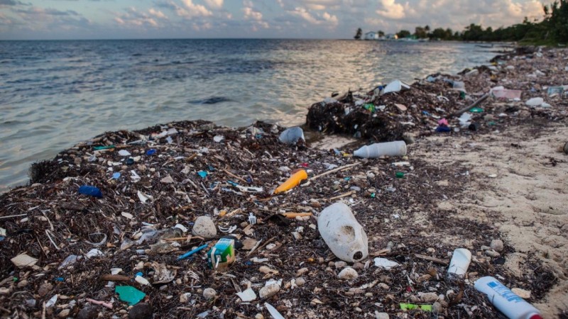 Γλυφάδα: Σε ποιες πλαζ εντοπίστηκε θαλάσσια ρύπανση