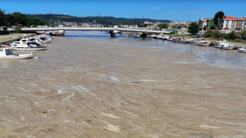 Τουρκία: Η γλίτσα που έχει βρωμίσει τη θάλασσα του Μαρμαρά και απειλεί το Αιγαίο!