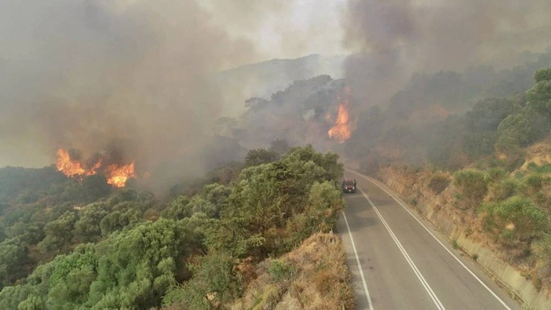 Μαίνεται η πυρκαγιά στη Χίο: Εκκενώνεται κατασκήνωση με 40 παιδιά!