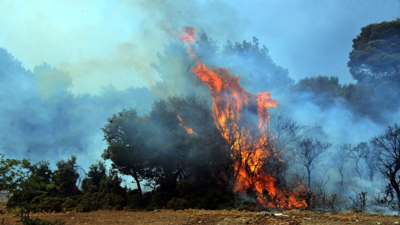 Θεσσαλονίκη: Απαγόρευση κυκλοφορίας στο Σέιχ Σου το Σάββατο λόγω κινδύνου πυρκαγιάς