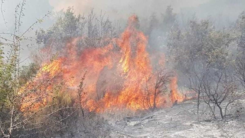 Φωτιά στον Έβρο: Εκκενώνεται άμεσα χωριό