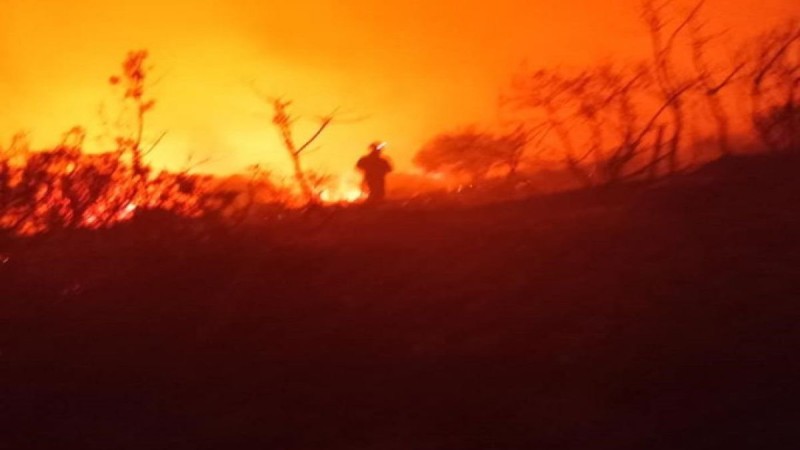 Φωτιά στην Κεφαλονιά: Ολονύχτια μάχη με εκκενώσεις οικισμών - Ενεργοποιήθηκε το 112