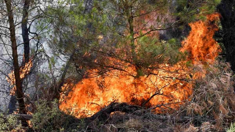 Φωτιά στην Κορινθία: Συνεχίζεται η μάχη με τη λαίλαπα - Μεγάλος κίνδυνος για πολλές περιοχές της χώρας