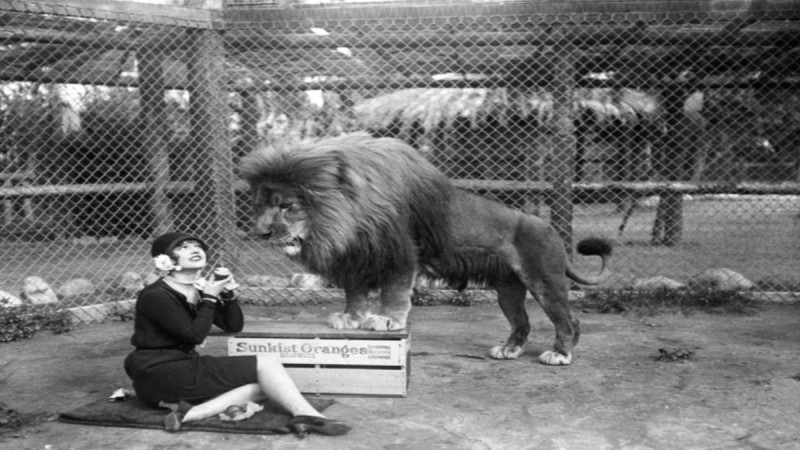 Η ιστορία της Φάρμας όπου έζησαν 500 λιοντάρια που εμφανίστηκαν σε ταινίες του Hollywood