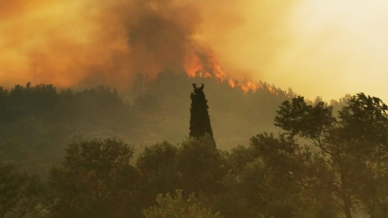 Βόλος: Πυρκαγιά στην περιοχή Περίβλεπτο