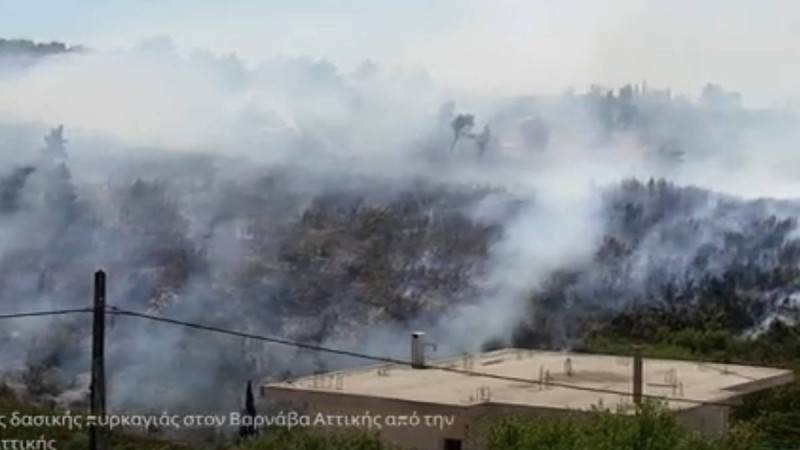 Διαστάσεις σοκ η φωτιά στον Βαρνάβα Αττικής: Στις αυλές σπιτιών οι φλόγες - Σοκαριστικό βίντεο από drone της Πυροσβεστικής!