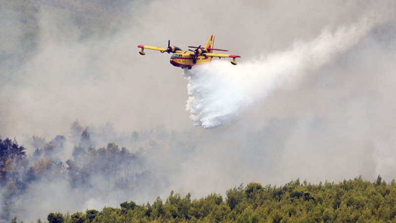 Φωτιά στη Φθιώτιδα: Οι φλόγες πλησιάζουν το Λογγίτσι - Εκκενώθηκε το χωριό