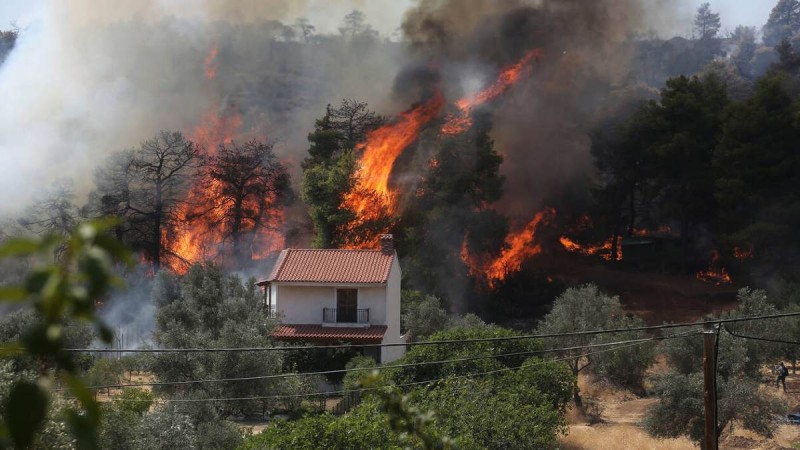 Φωτιά στην Εύβοια: Ανεξέλεγκτη η κατάσταση - Εκκενώνονται οι οικισμοί Πευκί, Αρτεμίσιο, Βουλίτι και Γούβες