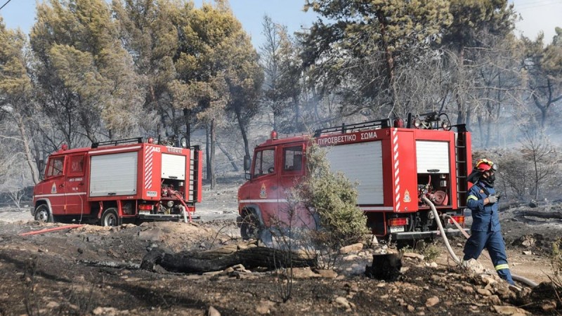 Στις φλόγες και η Καστανιά Μάνης: Εκκενώθηκαν οι οικισμοί Καστάνια, Άγιος Νικόλαος και Κόκκινα Λουριά!