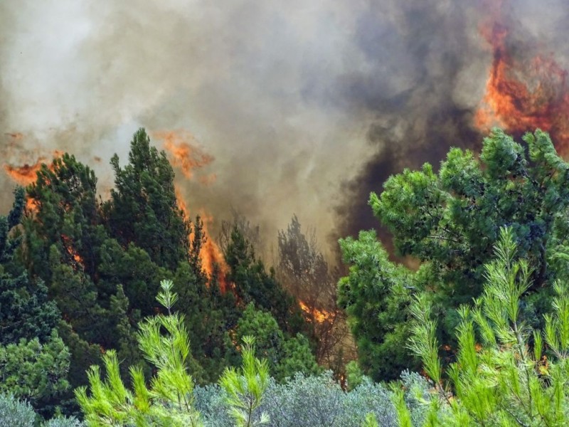 «Κύριοι, πάψτε! Πάψτε και κάντε τη δουλειά σας επιτέλους»: Η Greenpeace κατακερευνώνει Μητσοτάκη και Τσίπρα!