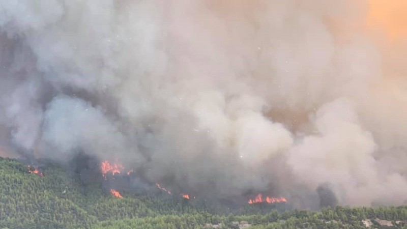 Συναγερμός στη Βόρεια Εύβοια - Νέα αναζωπύρωση φωτιάς στο Τρούπι