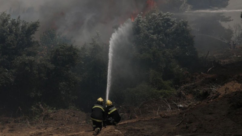 Φωτιά στην Εύβοια: Σε πύρινο κλοιό για 8η ημέρα - Μάχη με τις αναζωπυρώσεις σε Ελληνικά, Αγριοβότανο, Ασμήνι, Γαλατσώνα και Αβγαριά