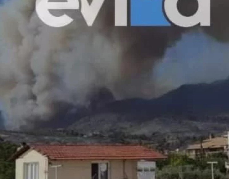 Εύβοια: Αναζωπύρωση της φωτιάς στις Ροβιές 