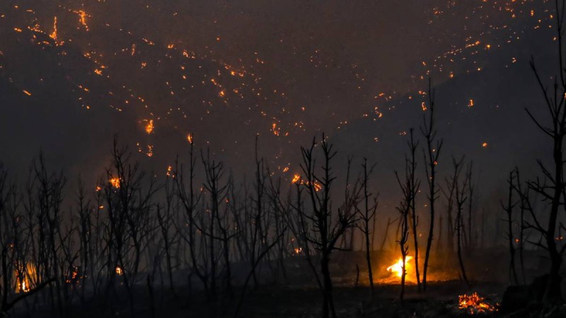 Φωτιά στην Αττική: Εκκενώνεται το Καλέντζι - Ενεργά μέτωπα σε Καπανδρίτι, Ιπποκράτειο Πολιτεία και Αφίδνες