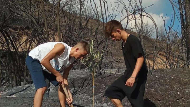 Φωτιά - Αρχαία Ολυμπία: Δύο 15χρονοι φύτευσαν το πρώτο δέντρο