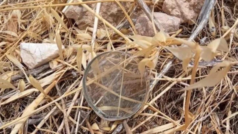 Μεγεθυντικός φακός πάνω σε ξερόχορτα βρέθηκε στους πρόποδες του Υμηττού (photo)