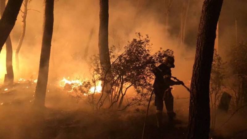 Φωτιά στην Εύβοια: Συναγερμός για νέο μέτωπο στο Ασμήνιο - Ο εφιάλτης συνεχίζεται στο νησί