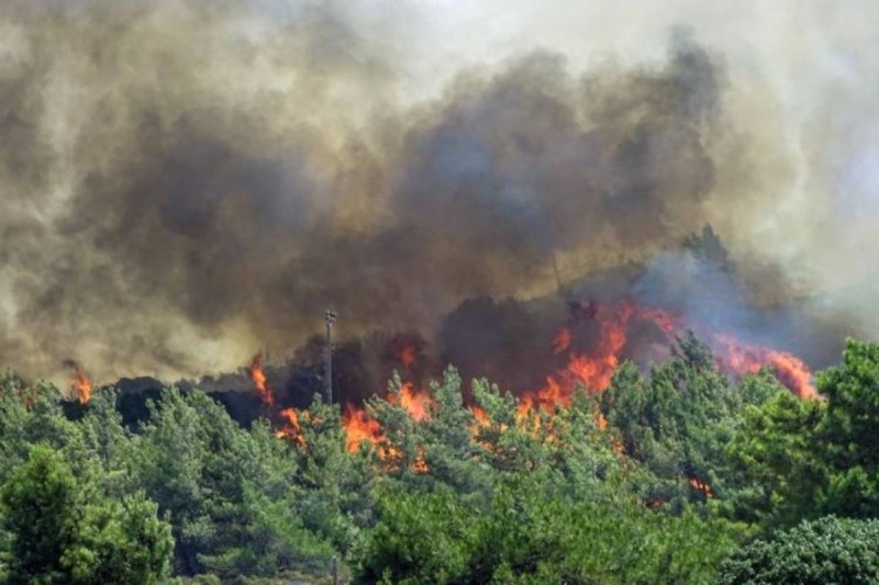 Φωτιά στην Ηλεία: Δεν υπάρχει κανένα ενεργό μέτωπο