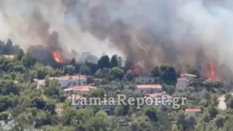 Φωτιά στη Φθιώτιδα: Ετοιμάζονται για εκκένωση στη Μαλεσίνα