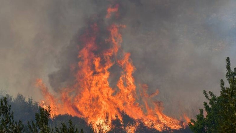 Φωτιά στα Τρίκαλα: Επικίνδυνη αναζωπύρωση στα Στουρνέικα