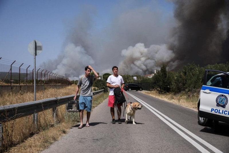 φωτιά σκυλί βαρυμπόμπη