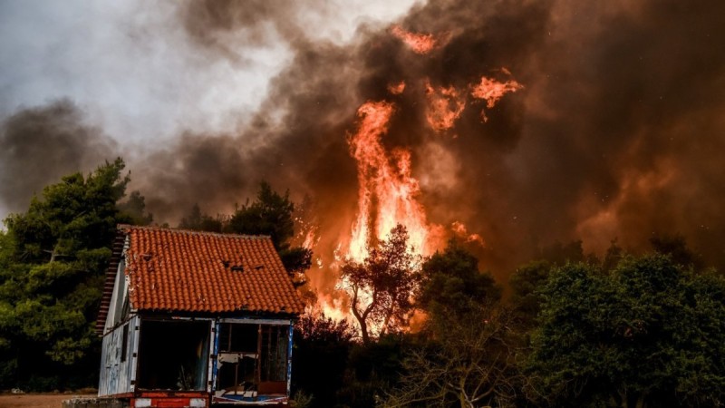 Φωτιά στα Βίλια: Το πύρινο μέτωπο πλησιάζει την Οινόη - Ανησυχία για ισχυρότερους ανέμους