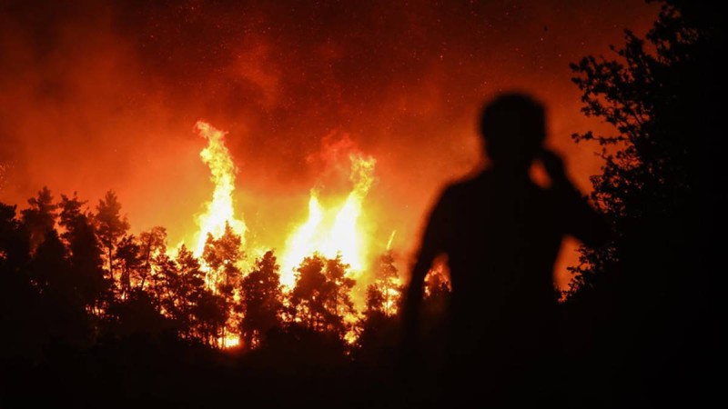 Πυρκαγιές στην Ελλάδα: Κρανίου τόπος Εύβοια και Γορτυνία - Πάνω από μισό εκ. στρέμματα έγινε στάχτη