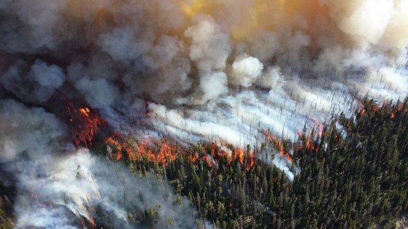 Οι πυρκαγιές του καλοκαιριού σε ένα βίντεο - Κάηκαν 1.200.000 στρέμματα