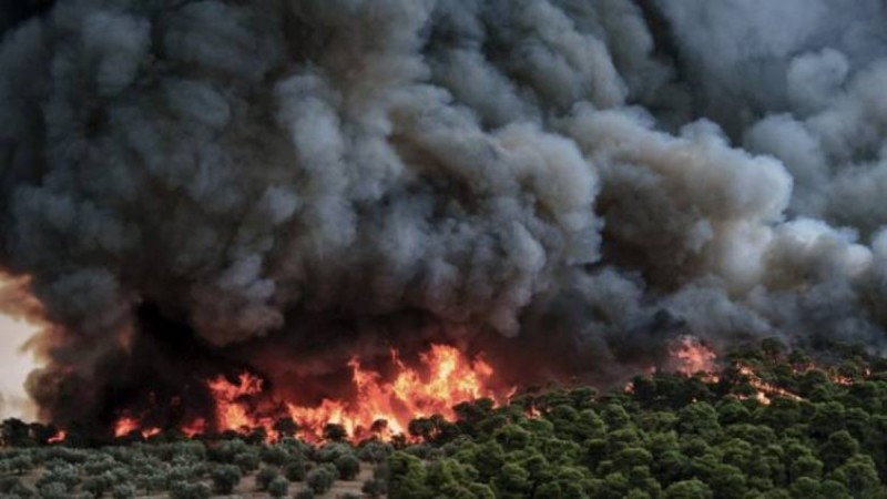 Καλαμάτα: Σύλληψη υπόπτου για εμπρησμό από πρόθεση και κατ’ εξακολούθηση