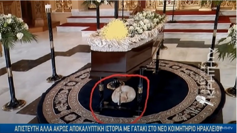 Απίστευτο! Γατάκι στην Κρήτη πηγαίνει σε κηδείες και παρηγορεί τους συγγενείς!
