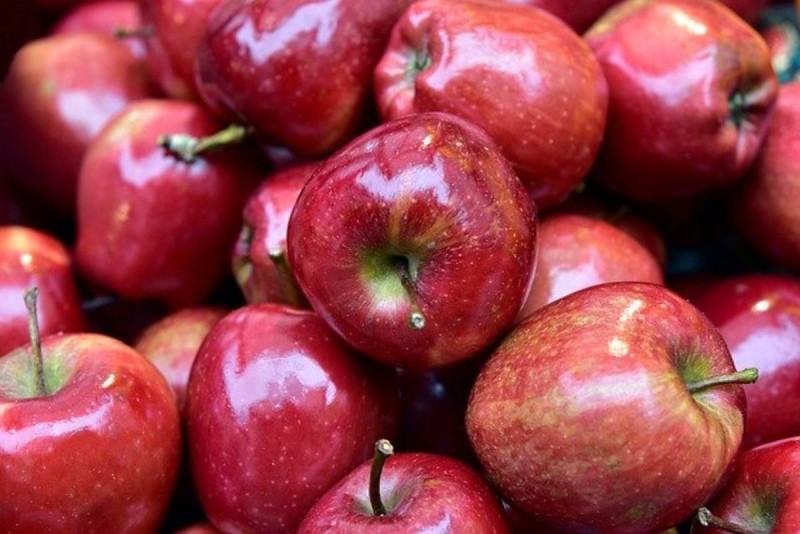 Τα μήλα μειώνουν το 75% του Αλτσχάιμερ