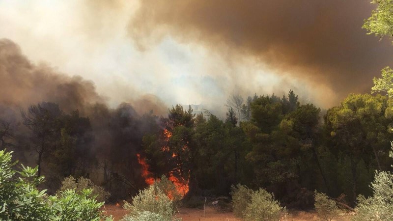 φωτιές ομολογία 14χρονου