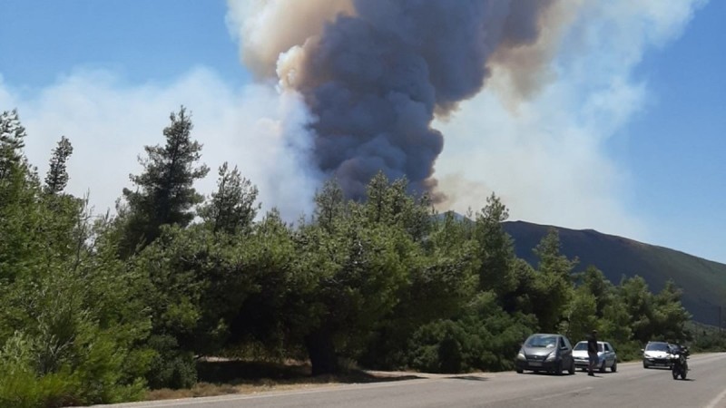 Φωτιά σε Κερατέα και Βίλια: Γύρω στις 50.000 στρέμματα οι καμένες εκτάσεις