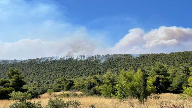 Βίλια: Μάχη με τις αναζωπυρώσεις - Ενισχυμένες οι εναέριες δυνάμεις - Δύο συλλήψεις για εμπρησμό