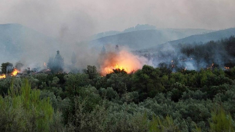 Ζάκυνθος: Προφυλακιστέος 55χρονος κατηγορούμενος για εμπρησμό