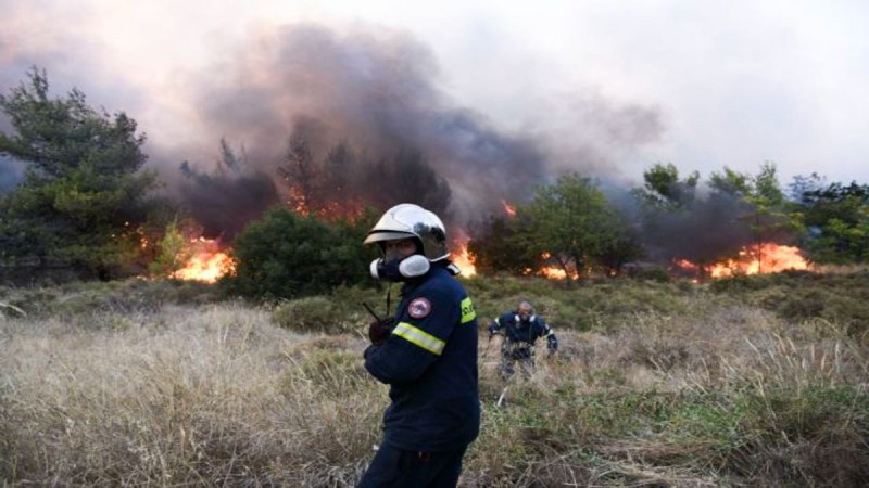 Φωτιά στην Αταλάντη - Επιχειρούν δύο αεροσκάφη