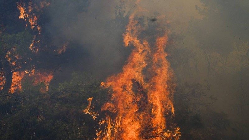 Μεγάλη φωτιά τώρα στην Κερατέα: Σε κατοικημένη περιοχή ανάμεσα σε Κακιά Θάλασσα και Δασκαλειό!