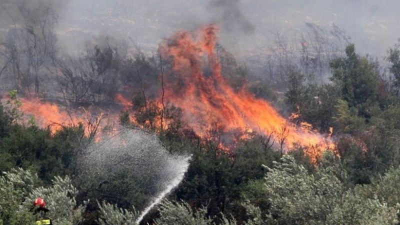 Φωτιά στην Πάρνηθα: Μία προσαγωγή για εμπρησμό