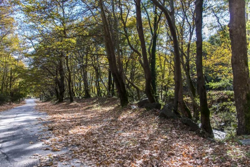 Το «μυστικό» χωριό 