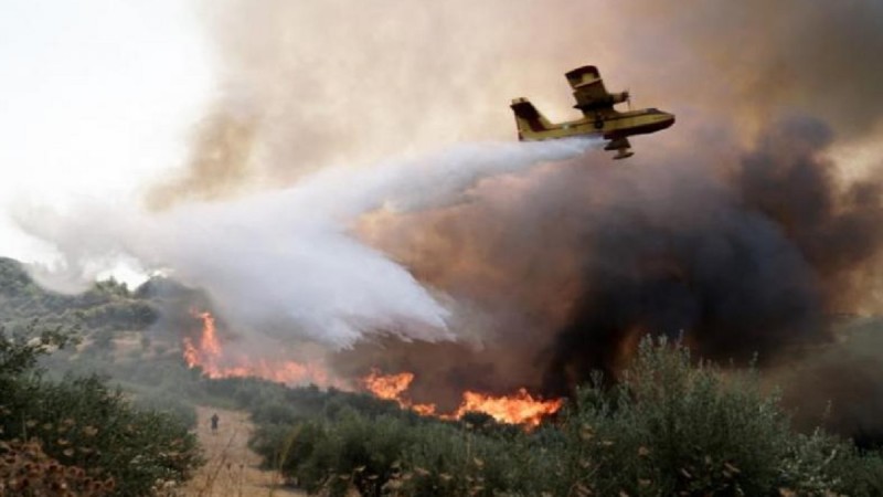 Πυρκαγιές: Τι ορίζει η ΚΥΑ για τις αποζημιώσεις των πυρόπληκτων