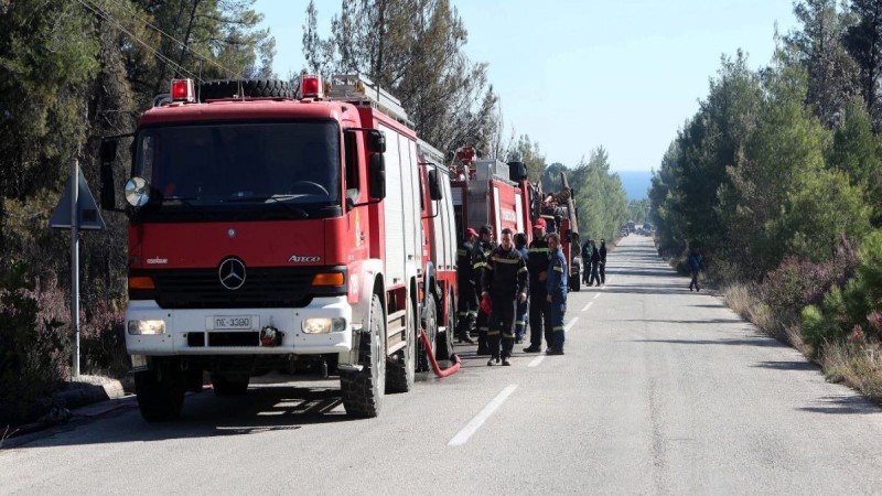 Συναγερμός στην Πυροσβεστική! Πυρκαγιά σε δρυοδάσος στον Έβρο 