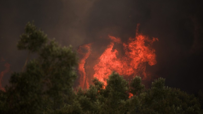 Φωτιά στην Ξάνθη – Πυρκαγιά στην περιοχή του Δασοχωρίου