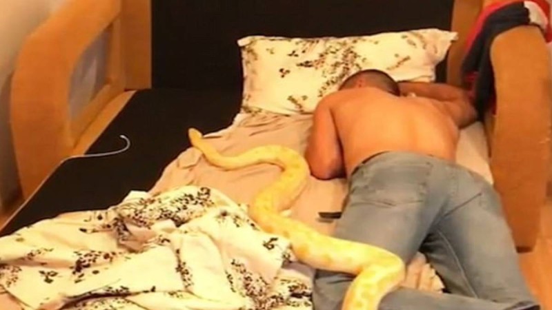 Ξύπνησε και βρήκε ένα τεράστιο φίδι και ένα λιοντάρι πάνω στο κρεβάτι του. Η συνέχεια θα σας κόψει την ανάσα
