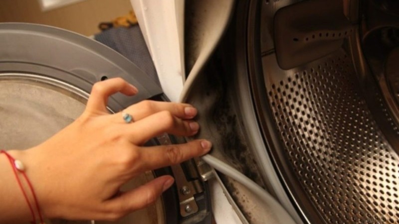 Δείτε πώς το σκόρδο βοηθά στην απομάκρυνση της μούχλας από το πλυντήριο